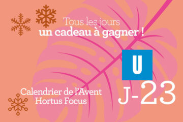 Calendrier de l'avent-23