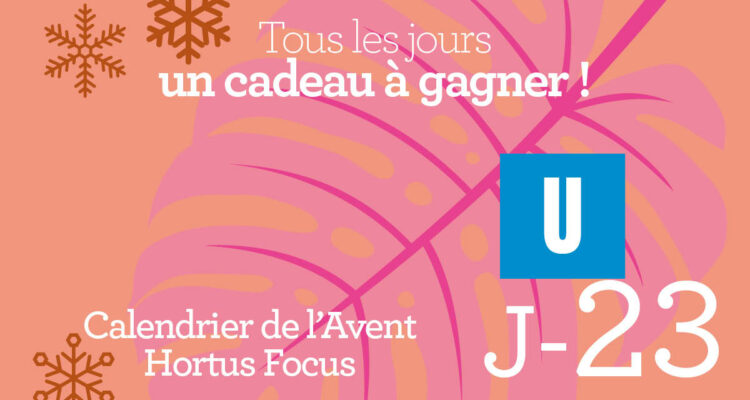 Calendrier de l'avent-23