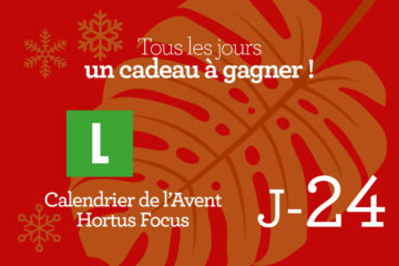 Calendrier de l'avent-24
