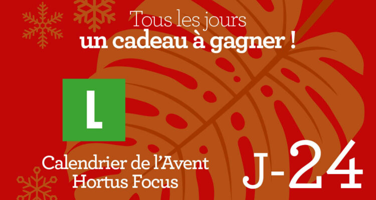 Calendrier de l'avent-24