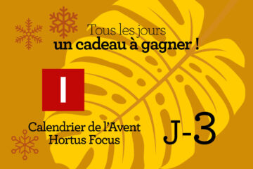 Calendrier de l'avent-3