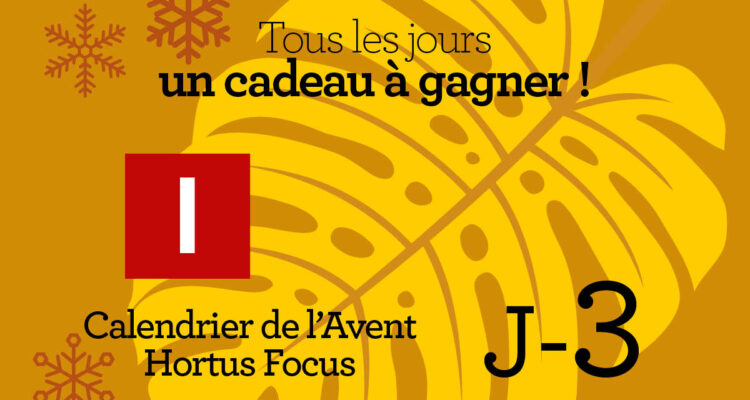 Calendrier de l'avent-3