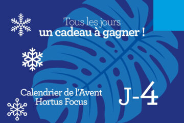 Calendrier de l'avent-4