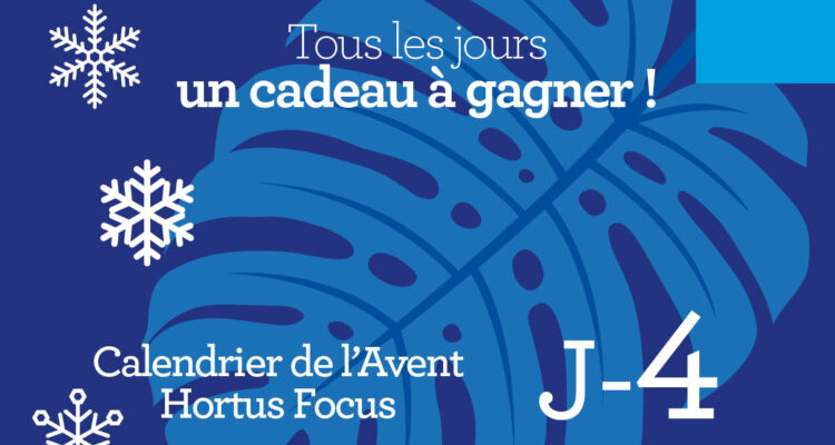 Calendrier de l'avent-4