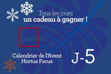 Calendrier de l'avent-5