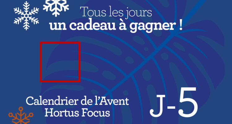 Calendrier de l'avent-5