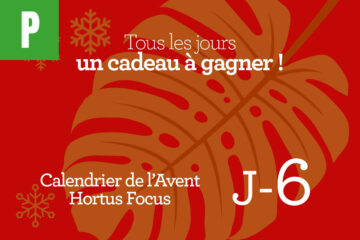 Calendrier de l'avent-6