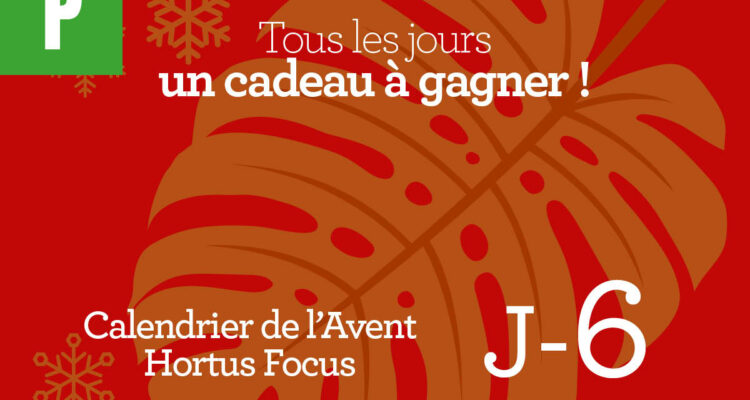 Calendrier de l'avent-6