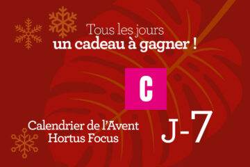 Calendrier de l'avent-7