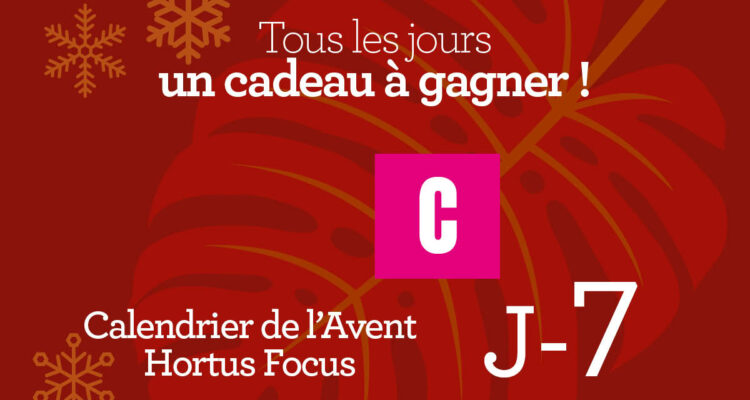 Calendrier de l'avent-7