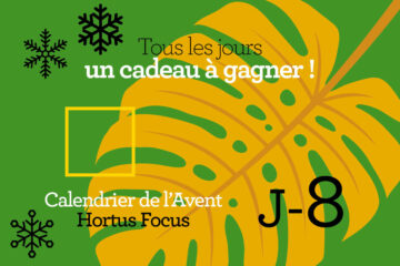 Calendrier de l'avent-8