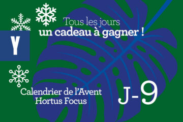 Calendrier de l'avent-9