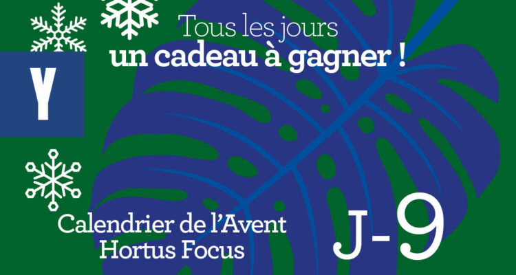 Calendrier de l'avent-9
