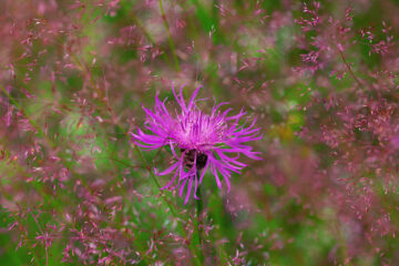 calendrier lunaire du 22 novembre 2021