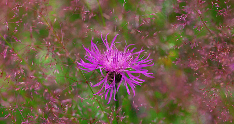 calendrier lunaire du 22 novembre 2021
