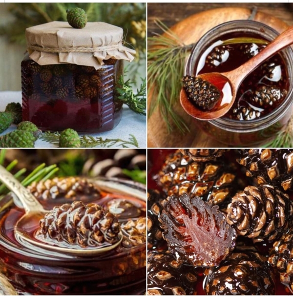 confiture de pommes de pin-Edit permavenir - confiture de pommes de pin