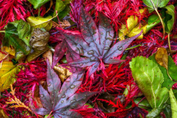 calendrier lunaire du 27 novembre 2021