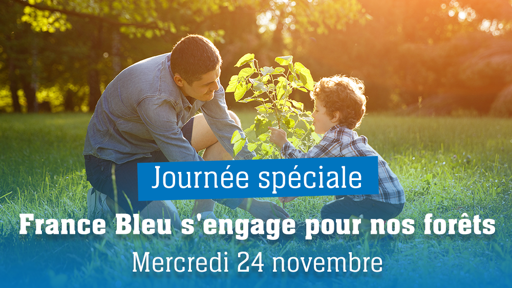 France bleu calendrier lunaire du 24 novembre