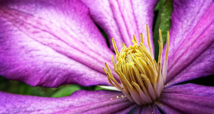 calendrier lunaire du 17 novembre
