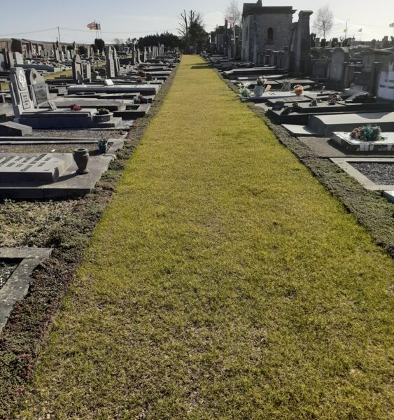 Gembloux 2-Edit Vegetalisation des cimetières