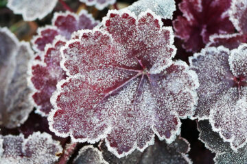 calendrier lunaire du 28 novembre