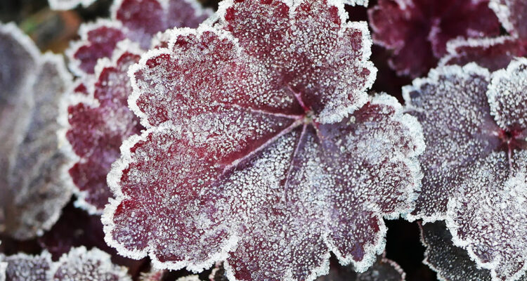 calendrier lunaire du 28 novembre