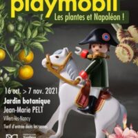 illustration-exposition-figurines-playmobil-les-plantes-et-napoleon_1-1633954824 jardin jean-marie pelt, nancy