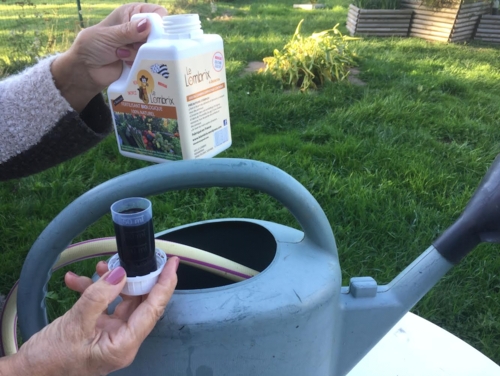 IMG-3283 Lombrix -Edit Calendrier de l'Avent Hortus Focus