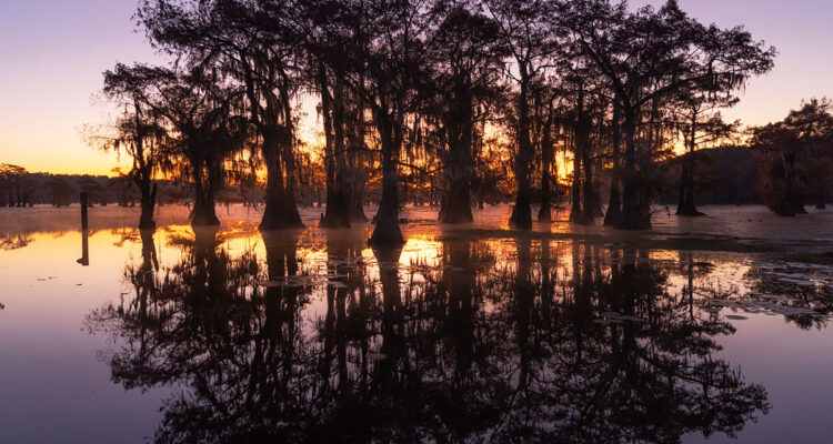 calendrier lunaire du jeudi 11 novembre 2021