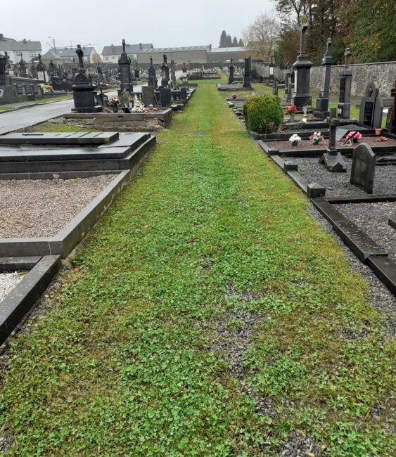 Libramont 4-Edit Une petite couche de gravier est laissée pour stabiliser le sol.