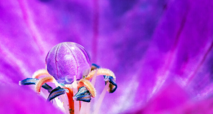 calendrier lunaire du 3 novembre