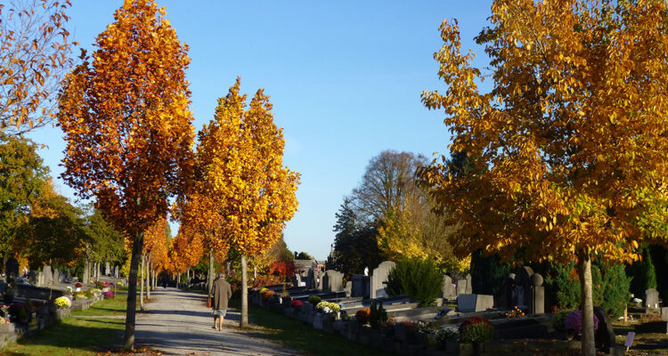 Cimetière de Namur - Belgique