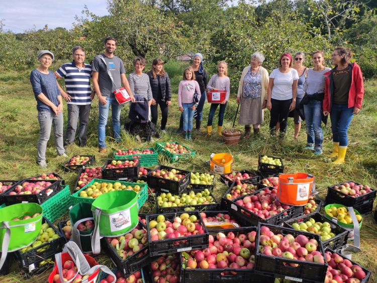 aux arbres citoyens - récolte dans verger-Edit Aux arbres citoyens