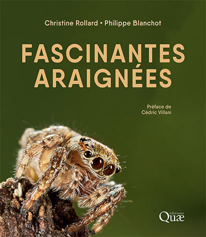 Fascinantes araignees Fascinantes araignées