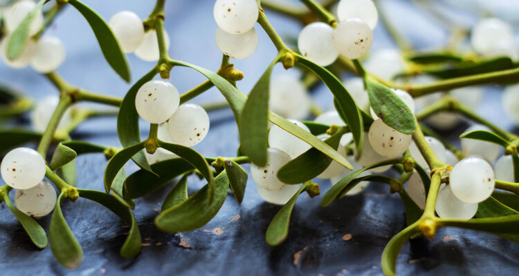 Calendrier lunaire du 31 décembre 2021