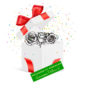 hortus suprise delbard hortus suprise delbard