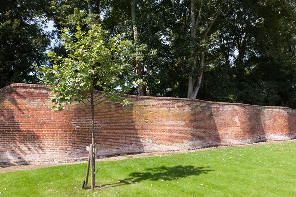 iStock-957975178-600px-acmanley mur en zigzags