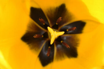 calendrier lunaire du 28 decembre 2021