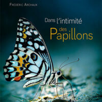 papillons Dans l'intimité des papillons