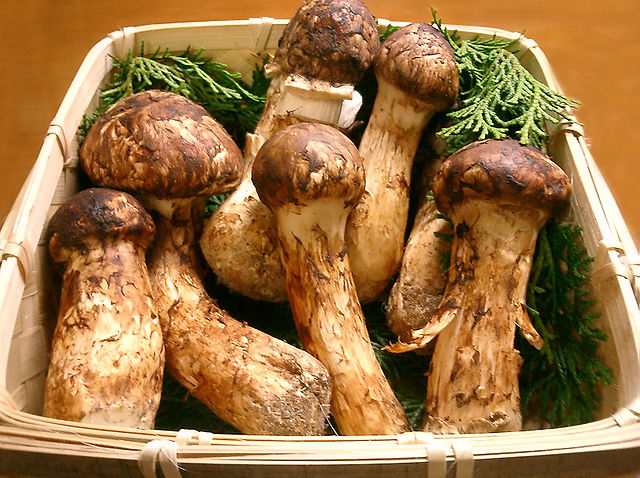 640px-Matsutake - Tomomarusan Les aliments les plus chers du monde