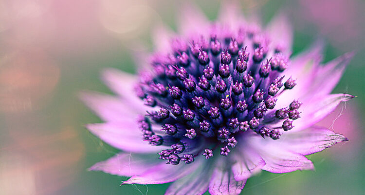 Calendrier lunaire du 14 janvier 2022