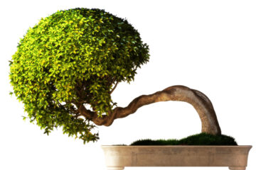 calendrier lunaire du 8 janvier