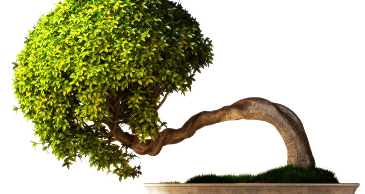 calendrier lunaire du 8 janvier