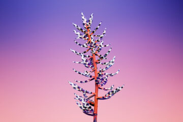 calendrier lunaire du 9 janvier 2022