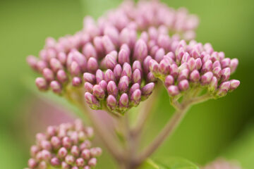calendrier lunaire du 3 janvier 2022