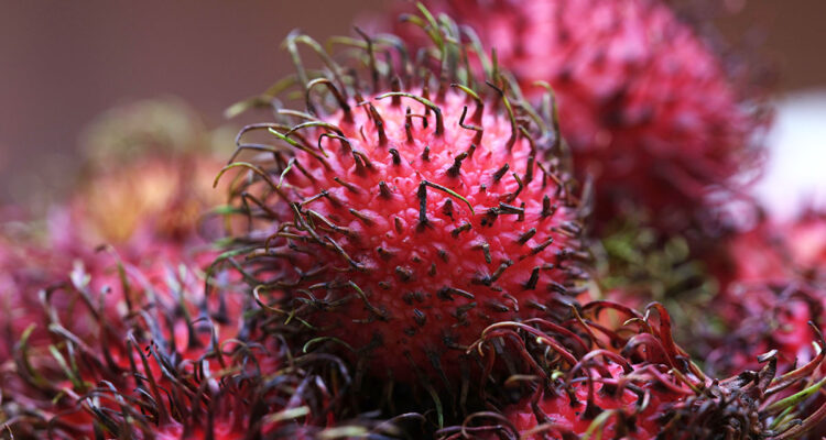 calendrier lunaire du 19 janvier 2022