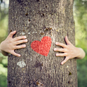 arbre-coeur-mains-calin-813059638-1200px-BrianAJackson sylvotherapie - Tree Hugging