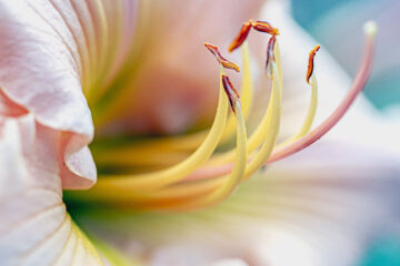 calendrier lunaire du 28 janvier 2022