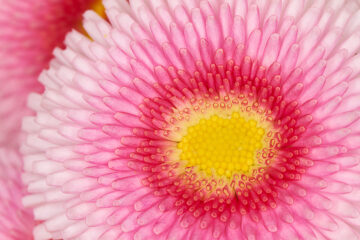 calendrier lunaire du 6 janvier 2022