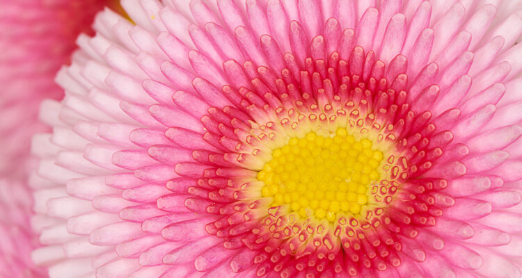 calendrier lunaire du 6 janvier 2022